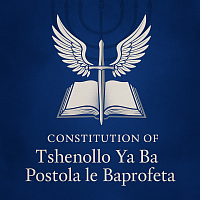 Constitution cover